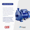 Bomba centrífuga 1 HP Vasser Motorag Varios QC 100
